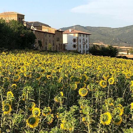Migueltxoenea Villa Lacar Exterior foto
