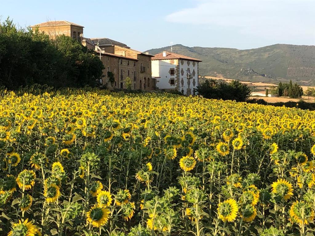 Migueltxoenea Villa Lacar Exterior foto